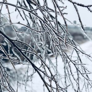 Meet your Posher, Idrissa